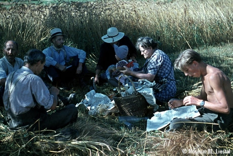 Znünipause bei der Kornernte, 1943