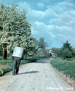 Auf dem Weg zur Käserei, Titterten 1944