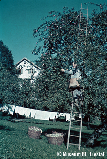 Im Obstgarten, 1942