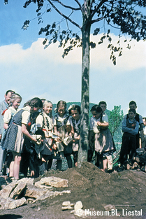 Pflanzung einer Friedenslinde in Liestal, 1945