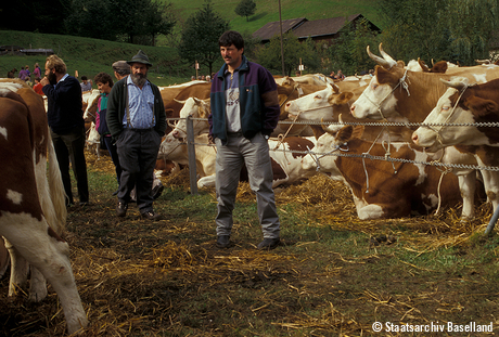 Viehmarkt Reigoldswil, 1996