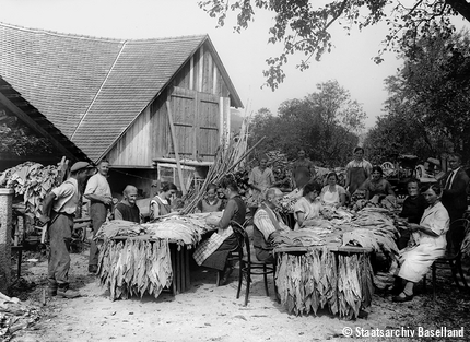 Tabakverarbeitung, ca. 1942